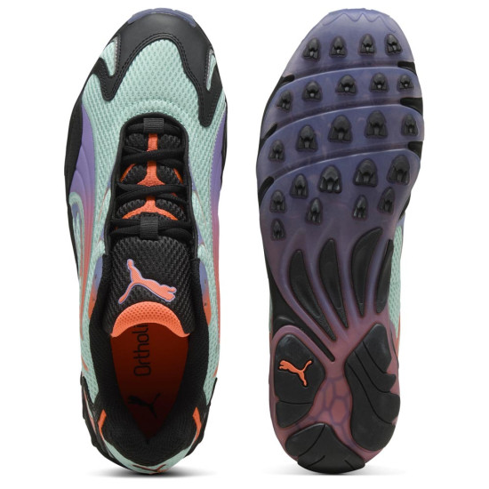 Puma Inhale